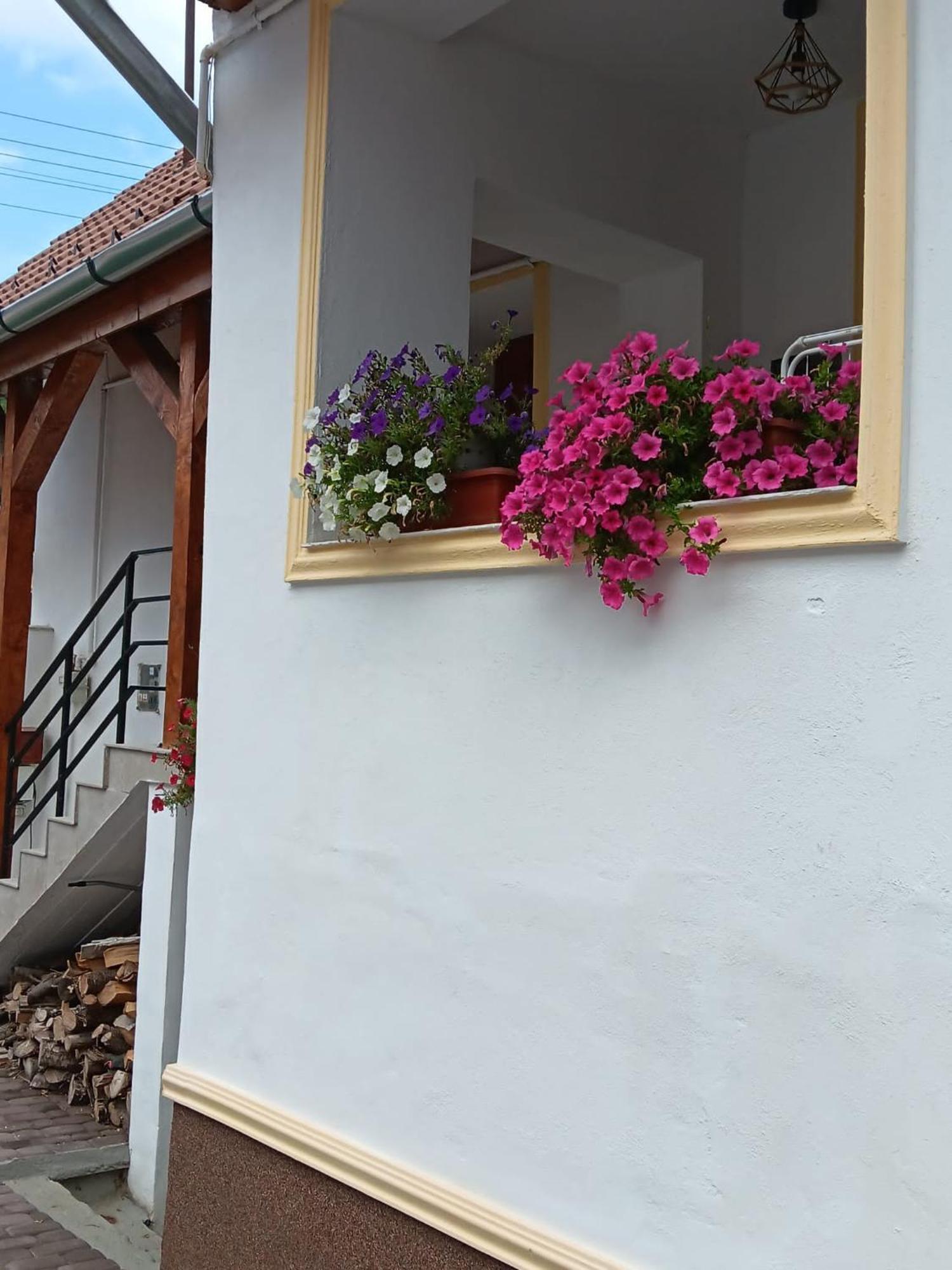 Iosif 55 Hotel Sighisoara Exterior photo